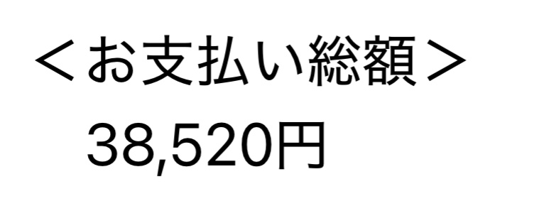 特典航空券で支払った税金などの総額38,520円